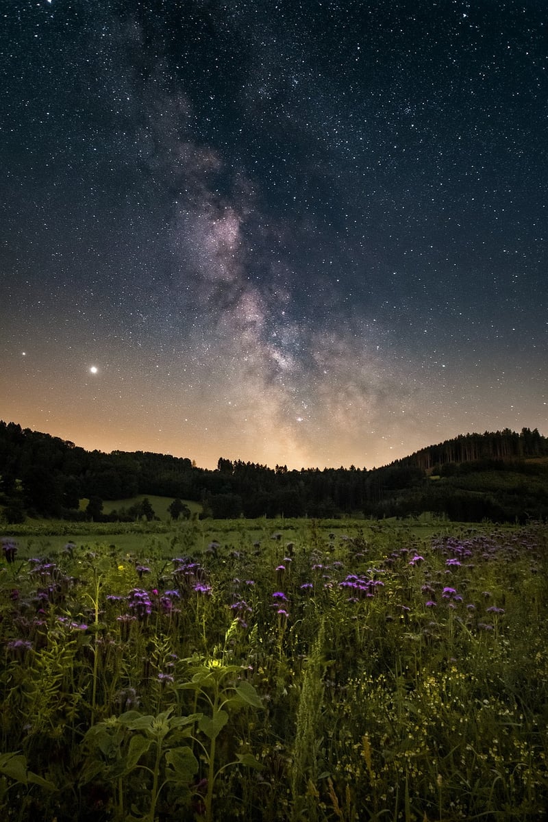 Starlight Soiree